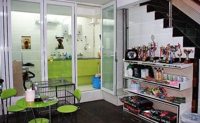 宠物店加盟费多少钱