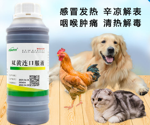 狗狗喝双黄连口服液 狗狗喝双黄连口服液