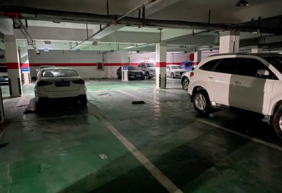 判了！宠物犬昆明某小区地下停车场被撞死，主人索赔6505元被拒………