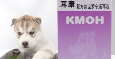 耳康多少钱