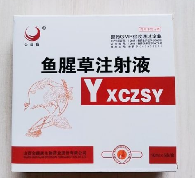 兽用鱼腥草注射功效与作用及用量
