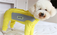 安班宠物衣服怎么样