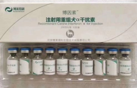 犬干扰素可以给猫用吗