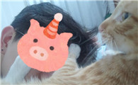 猫咪为什么喜欢踩人脸