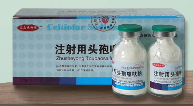 兽用头孢噻呋钠主治什么病