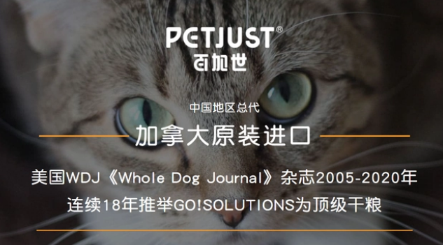 百加世NOW FRESH,为爱宠精选生长营养 百加世NOW FRESH,为爱宠精选生长营养