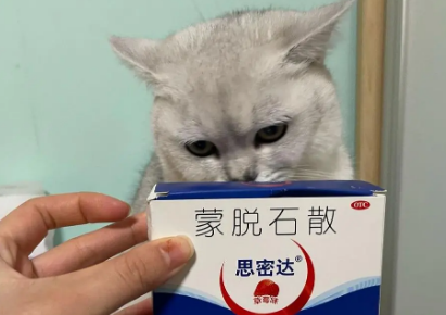 猫用蒙脱石散还是克痴肤