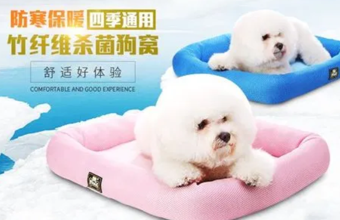 关于宠百思的加盟，你了解多少呢？