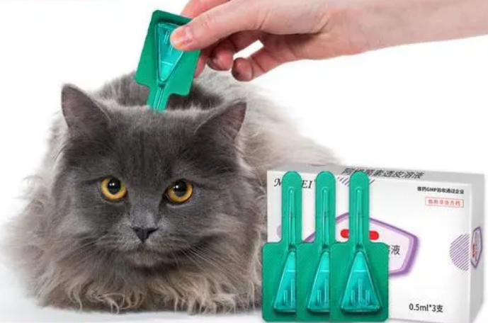 猫身上跳蚤用什么药消灭跳蚤