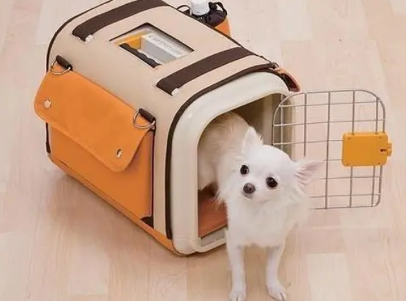 宠物狗托运价格 宠物狗托运价格