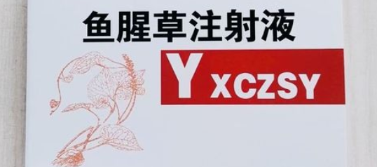 鱼腥草注射注液怎么口服