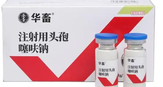兽用头孢噻呋钠休药期