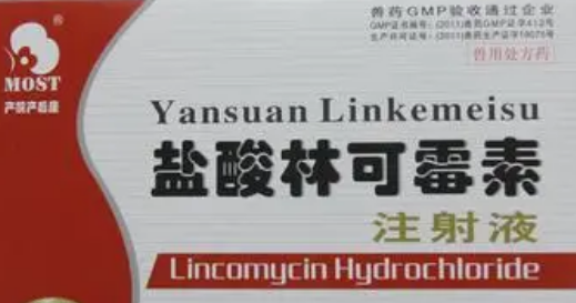 盐酸林可霉素注射作用