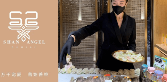 SHAN ANGEL善使——宠物殡葬高端品牌,让毛孩子有更好的归宿 SHAN ANGEL善使——宠物殡葬高端品牌,让毛孩子有更好的归宿
