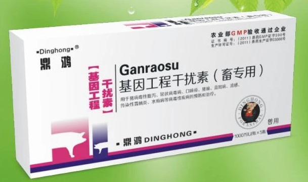 抗HPV干扰素哪个牌子好 抗HPV干扰素哪个牌子好