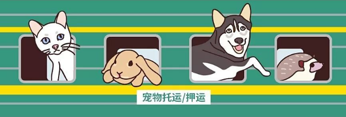12306可以托运宠物吗 12306可以托运宠物吗