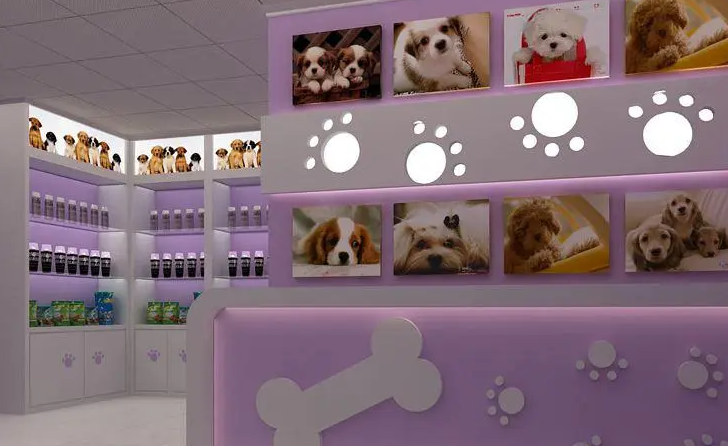 宠物店投资多少钱