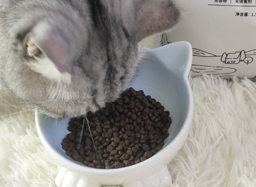 喂莱猫粮粗蛋白含量 喂莱猫粮粗蛋白含量