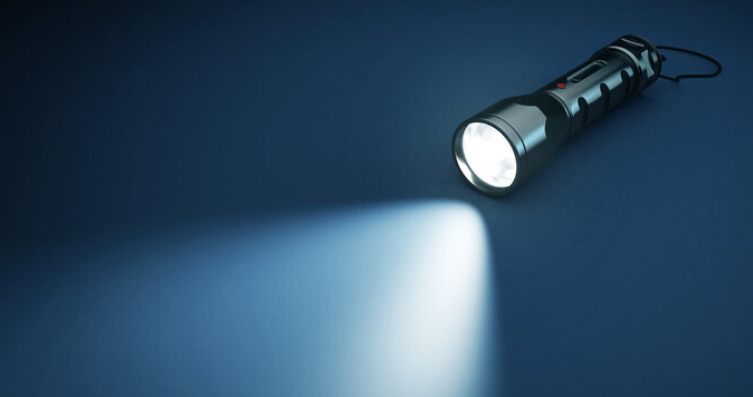 奇葩！湖南一男子用手电筒吓死养鸡场1100多只鸡，法院判了