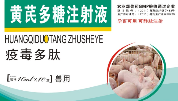黄芪多糖针的功效与作用