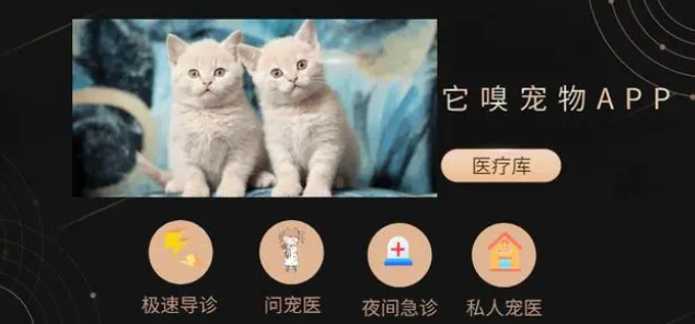 宠物医疗的进步|可线上问诊的平台——它嗅宠物APP 宠物医疗的进步|可线上问诊的平台——它嗅宠物APP