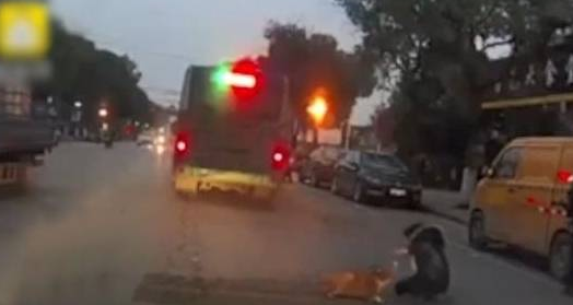 生死瞬间！狗狗冲出马路，主人飞扑大巴车底拖出爱犬！ 