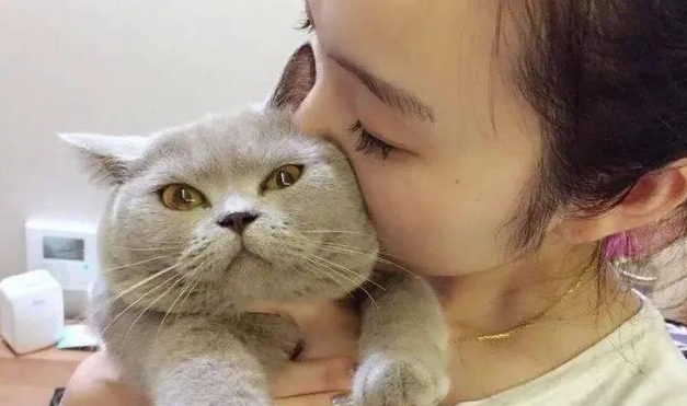 猫咪为什么要蹭主人脸呢