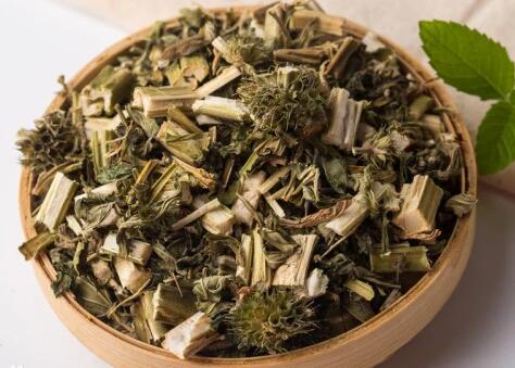 益母草是排血还是止血 益母草是排血还是止血