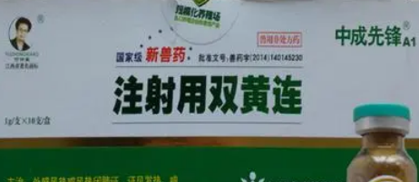 双黄连口服液的药用 双黄连口服液的药用