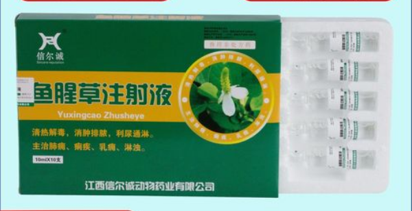 兽用鱼腥草注射用量多少