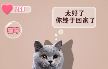 免费的猫咪翻译器 免费的猫咪翻译器