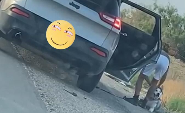 二哈被主人开车丢弃,下秒反应狂追车,因祸得福找到新家 二哈被主人开车丢弃,下秒反应狂追车,因祸得福找到新家