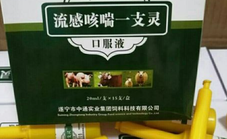 一支灵是治什么病的