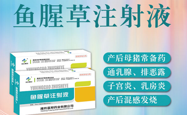 鱼腥草注射注液用法用量 鱼腥草注射注液用法用量
