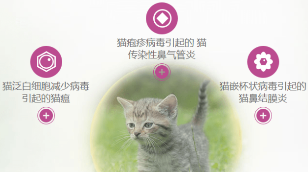 宠物医院打猫三联多少钱