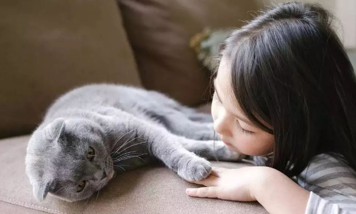 有些人命里不能养猫