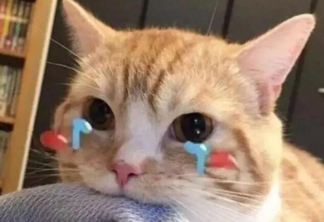 猫咪流眼泪是哭吗