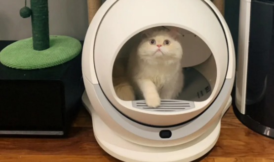 petree自动猫砂盆外观图片 petree自动猫砂盆外观图片