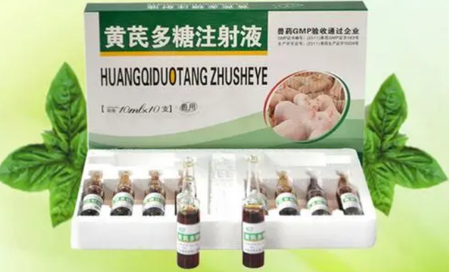 猪用黄芪多糖最佳配伍