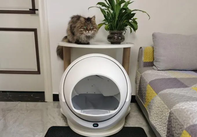铲屎官们的最爱，Petree全自动智能猫砂评测