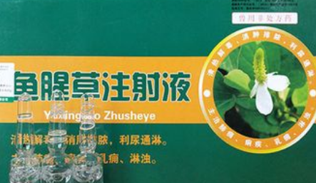 鱼腥草注射液可以口服吗