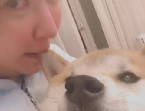 美女突然对着狗狗耳朵咬了下去,狗狗:你可能不信,我被人咬了! 美女突然对着狗狗耳朵咬了下去,狗狗:你可能不信,我被人咬了!