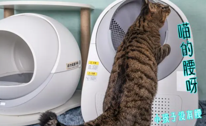 petree自动猫砂盆,买之前一定要看清楚这些! petree自动猫砂盆,买之前一定要看清楚这些!