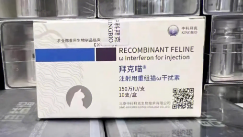 干扰素猫咪打多少才有用