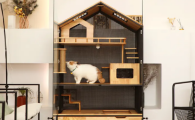 猫别墅有必要买吗