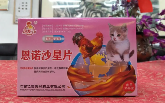 恩诺沙星兽用治疗鸡的什么 恩诺沙星兽用治疗鸡的什么