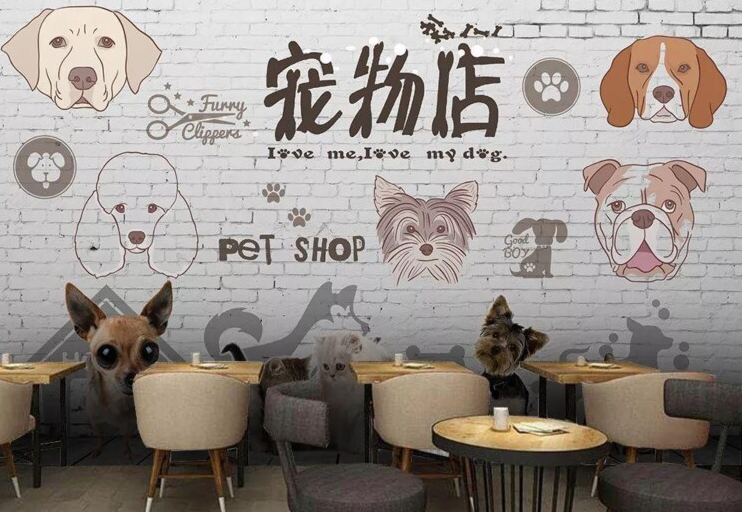 宠物美容店加盟费用 宠物美容店加盟费用