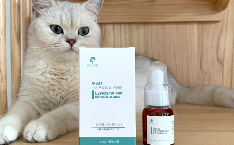 猫吃克痢肽前要断食吗 猫吃克痢肽前要断食吗