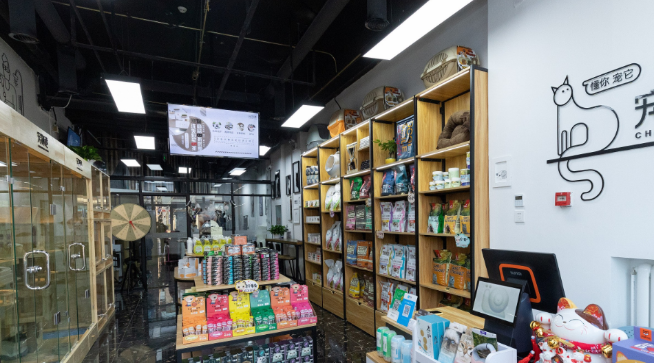宠物加盟店多少钱