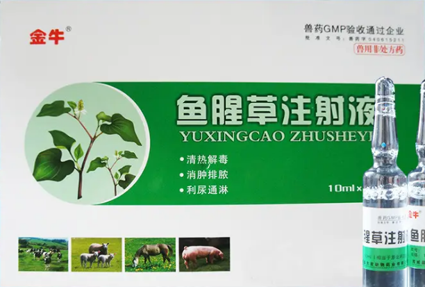 兽用鱼腥草注射液多少钱